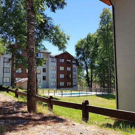 Depto Parque Suizo 800 Apartment Pucon Exterior photo