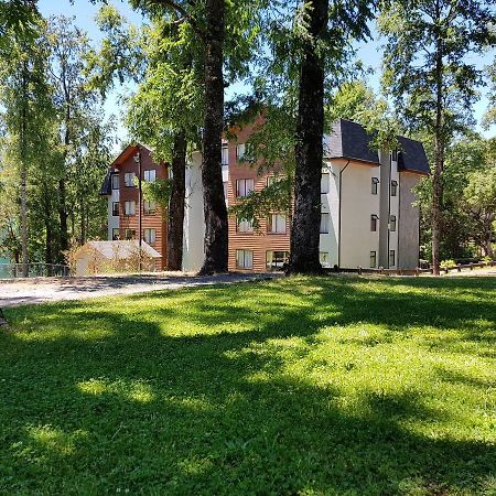 Depto Parque Suizo 800 Apartment Pucon Exterior photo