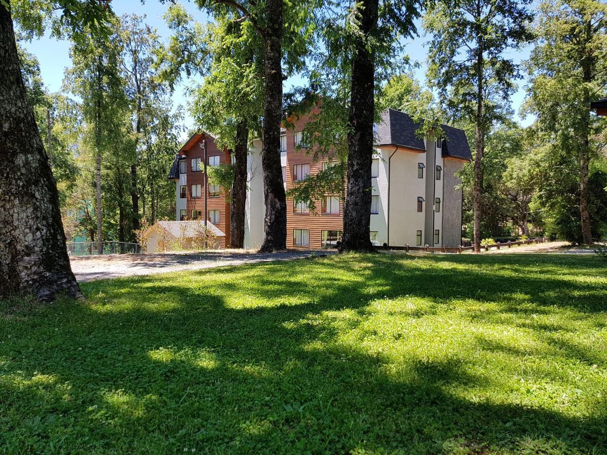 Depto Parque Suizo 800 Apartment Pucon Exterior photo